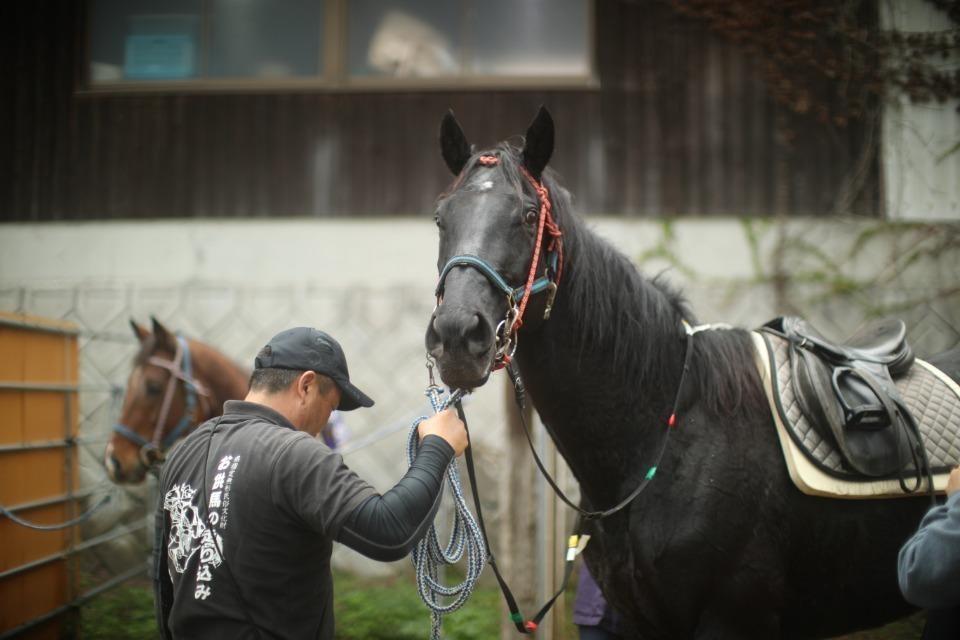 支援金の使い道の画像