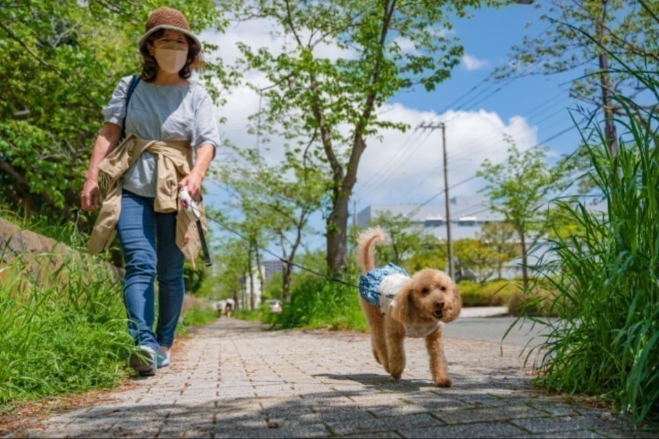 支援金の使い道の画像