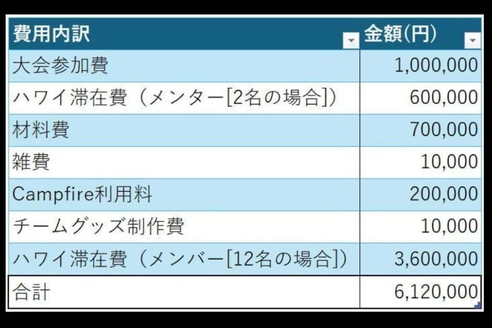 支援金の使い道の画像