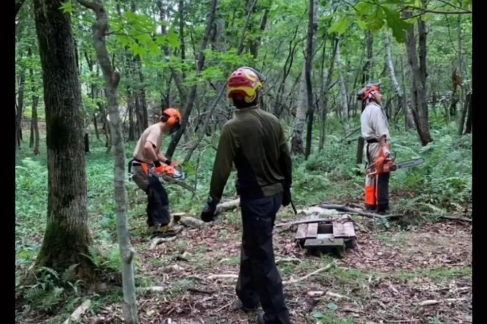 支援金の使い道の画像