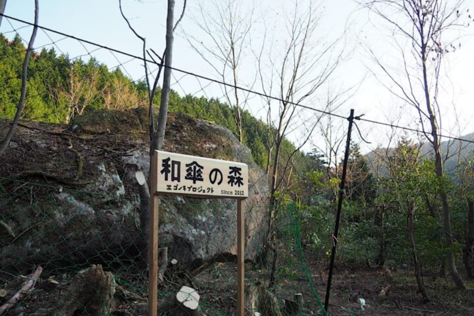 支援金の使い道の画像