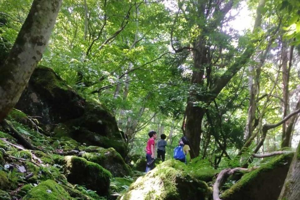 支援金の使い道の画像