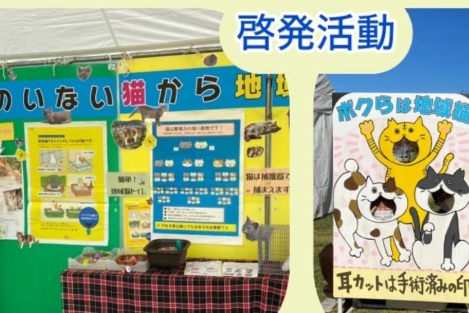 支援金の使い道の画像