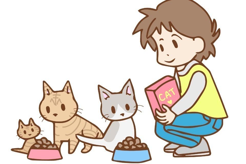 支援金の使い道の画像