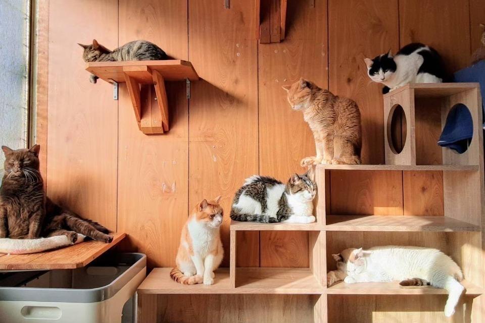 支援金の使い道の画像