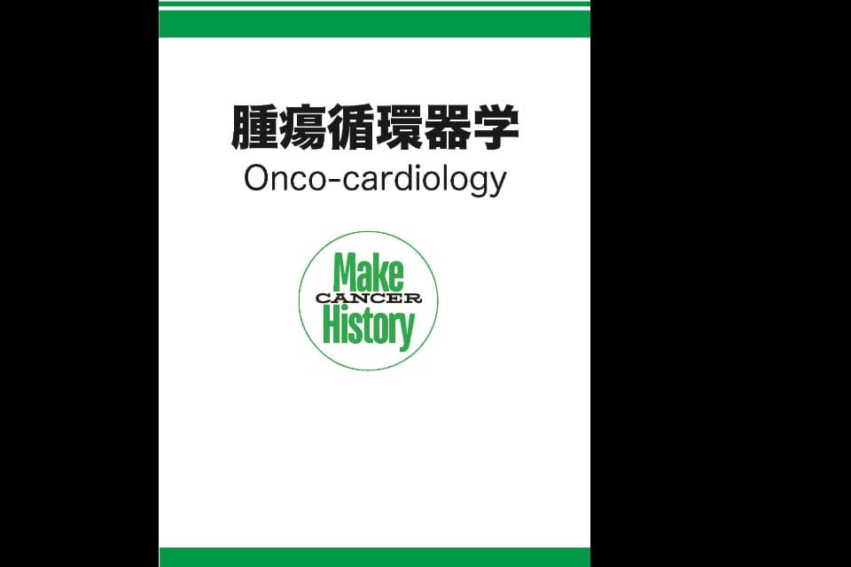 支援金の使い道の画像