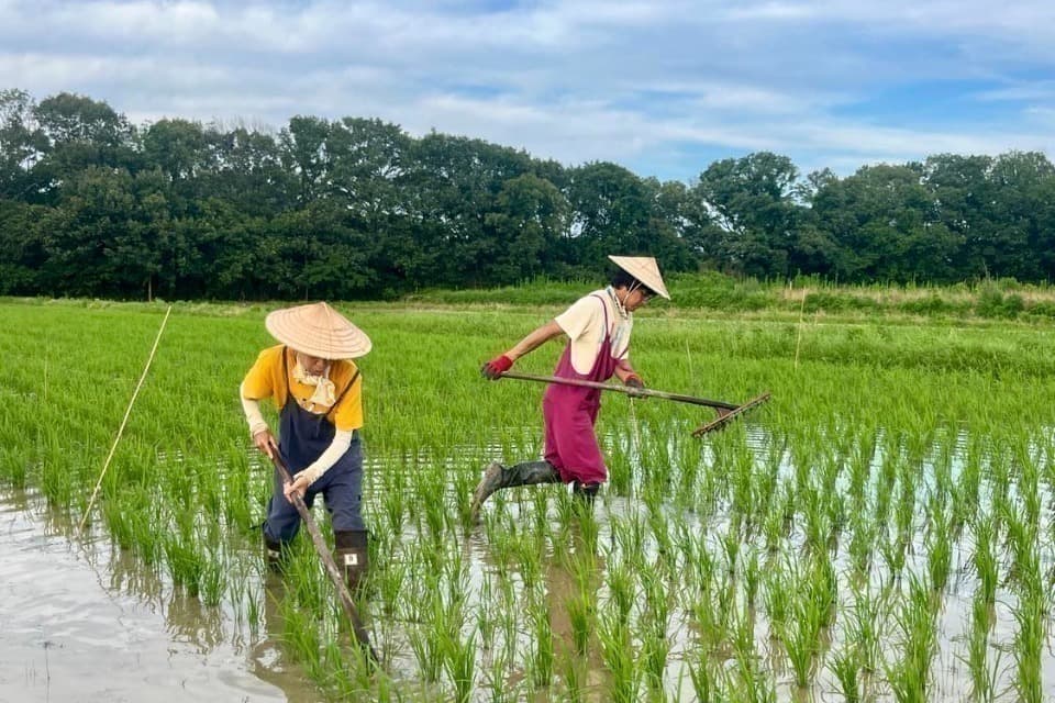 支援金の使い道の画像