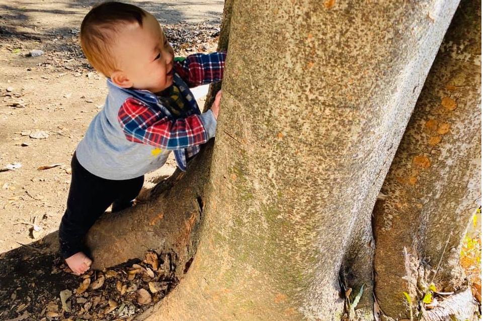 支援金の使い道の画像