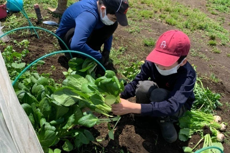 支援金の使い道の画像