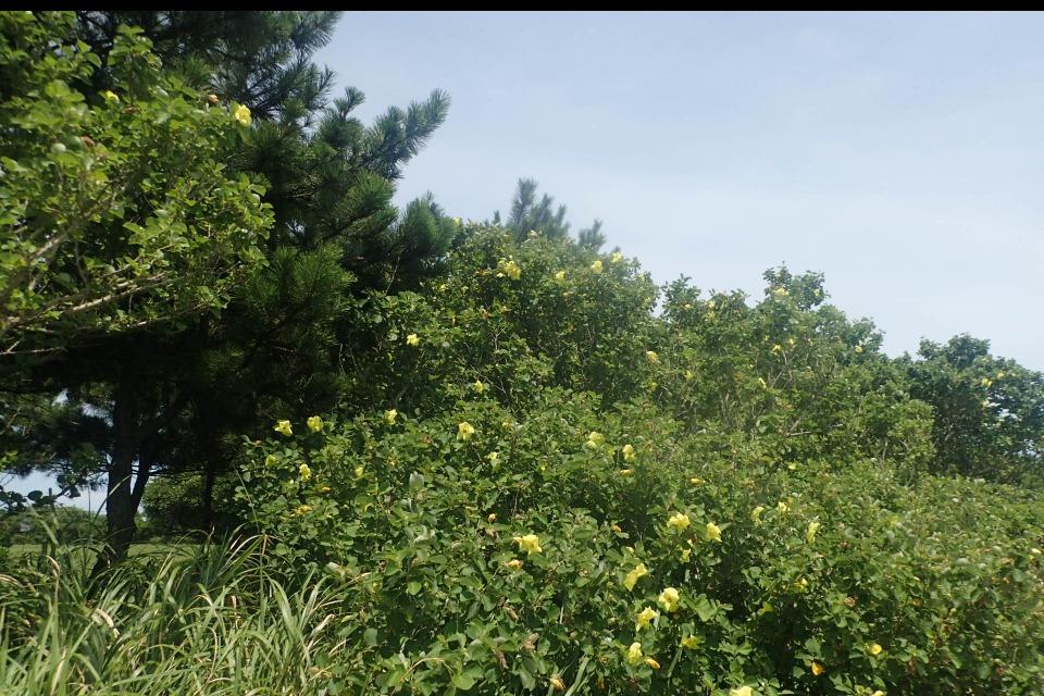 支援金の使い道の画像