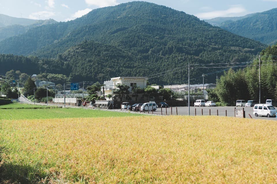 支援金の使い道の画像