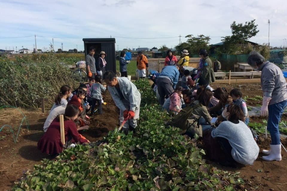 How support is used Image