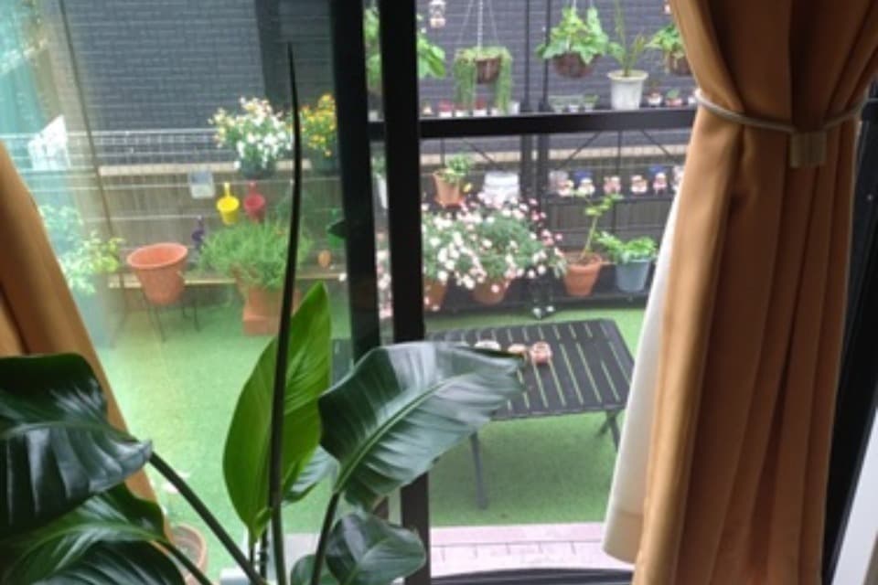 支援金の使い道の画像