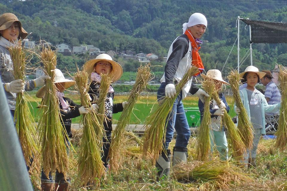 支援金の使い道の画像