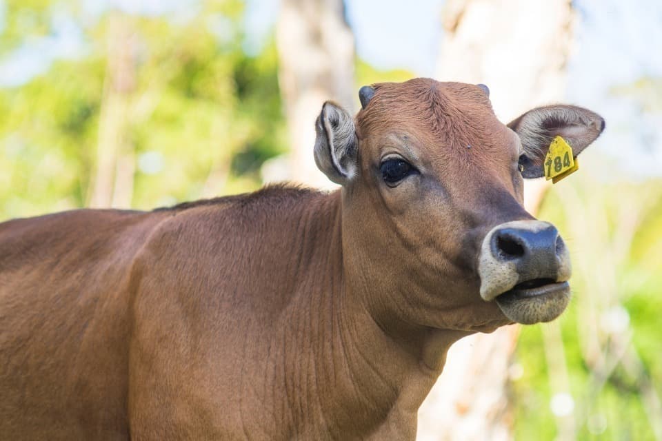 支援金の使い道の画像