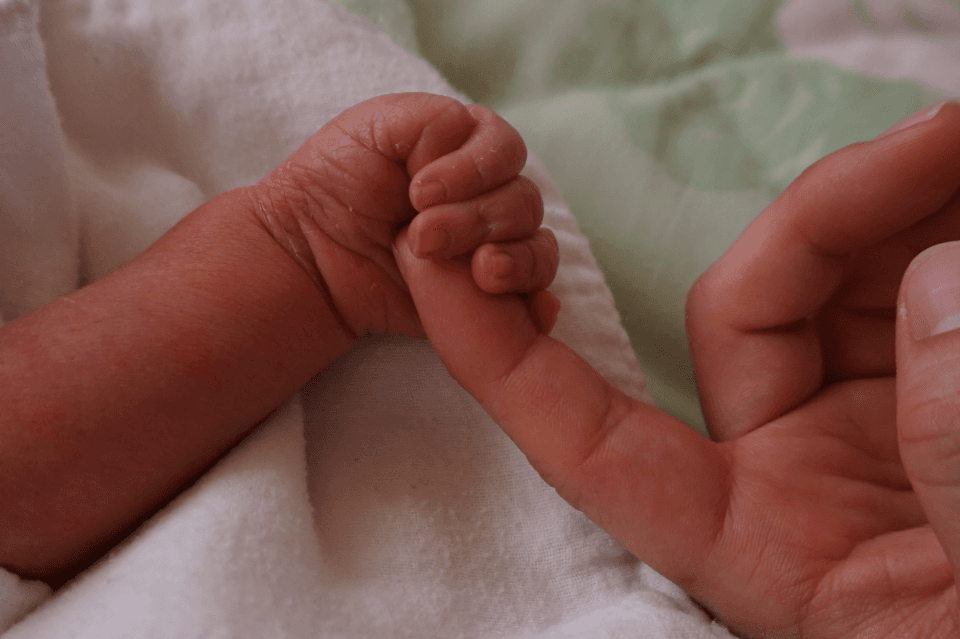 支援金の使い道の画像