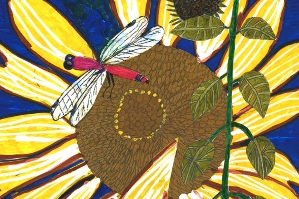 支援金の使い道の画像