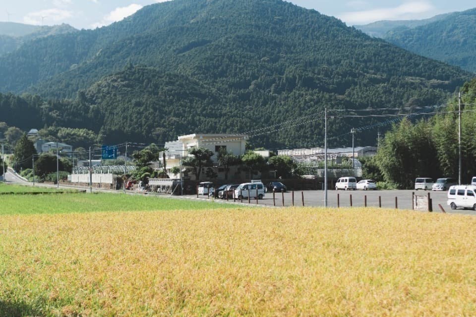 支援金の使い道の画像