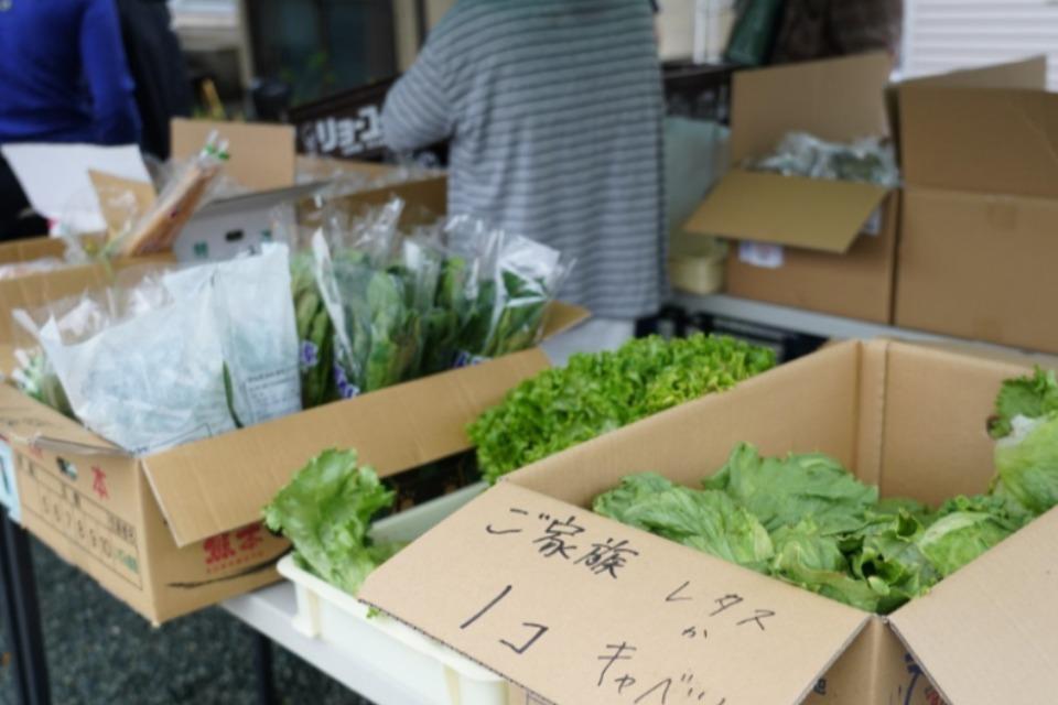 支援金の使い道の画像