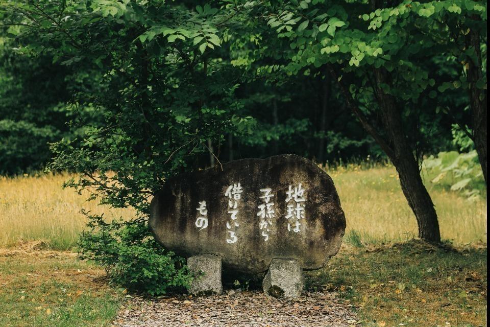 支援金の使い道の画像