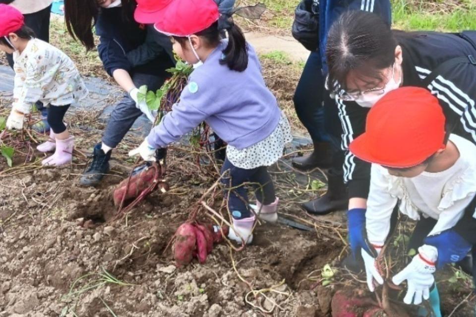 How support is used Image