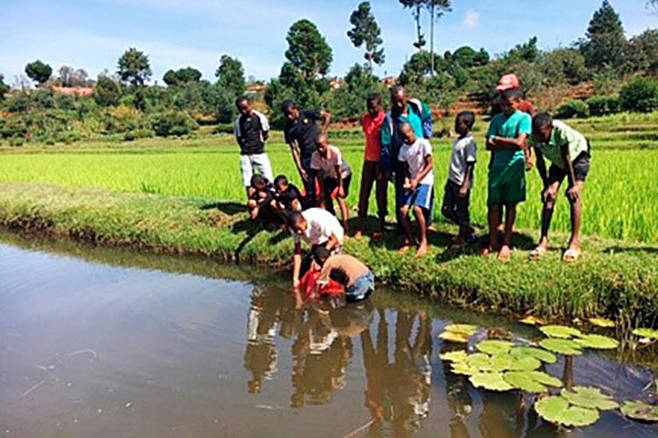支援金の使い道の画像