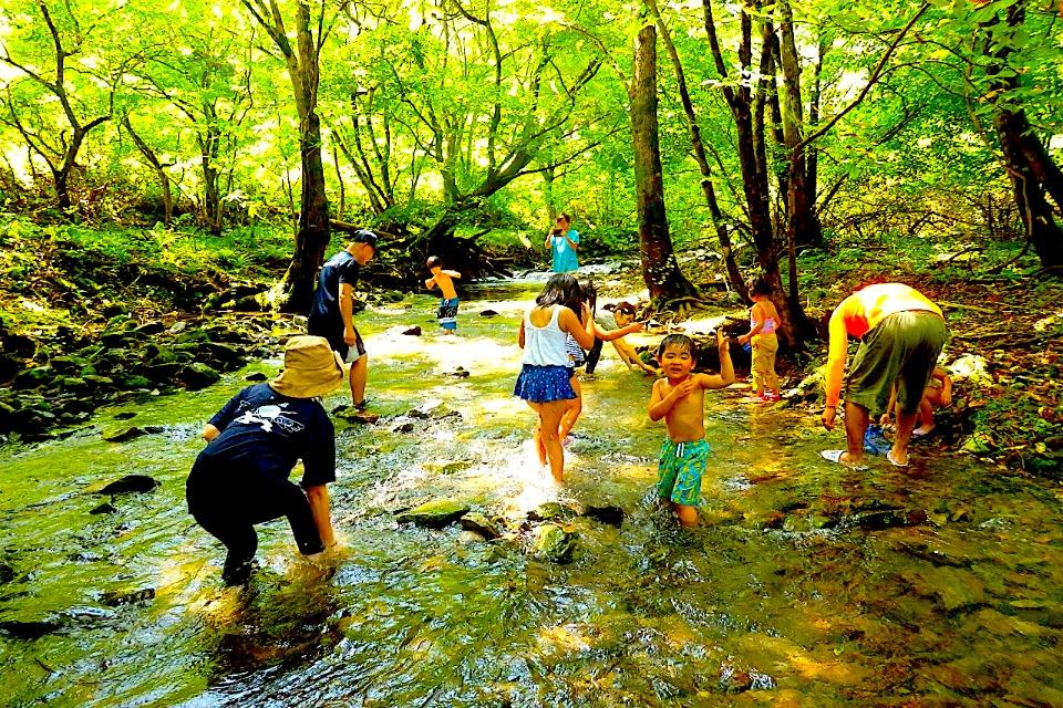 支援金の使い道の画像