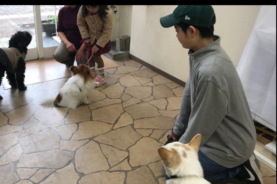 支援金の使い道の画像