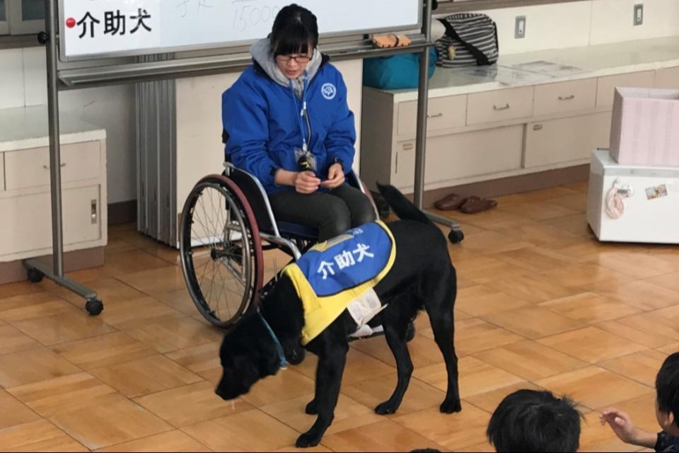 支援金の使い道の画像
