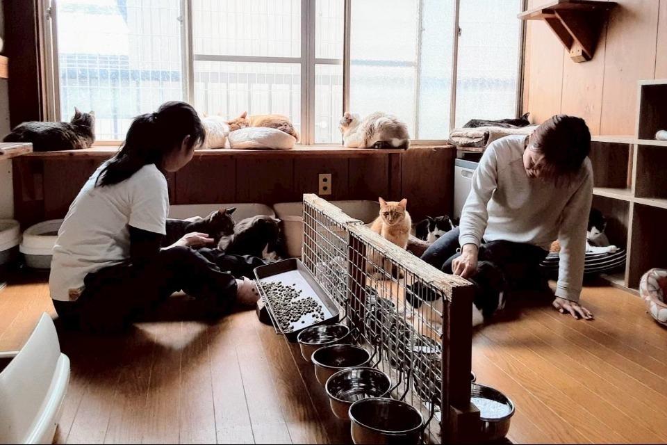 支援金の使い道の画像