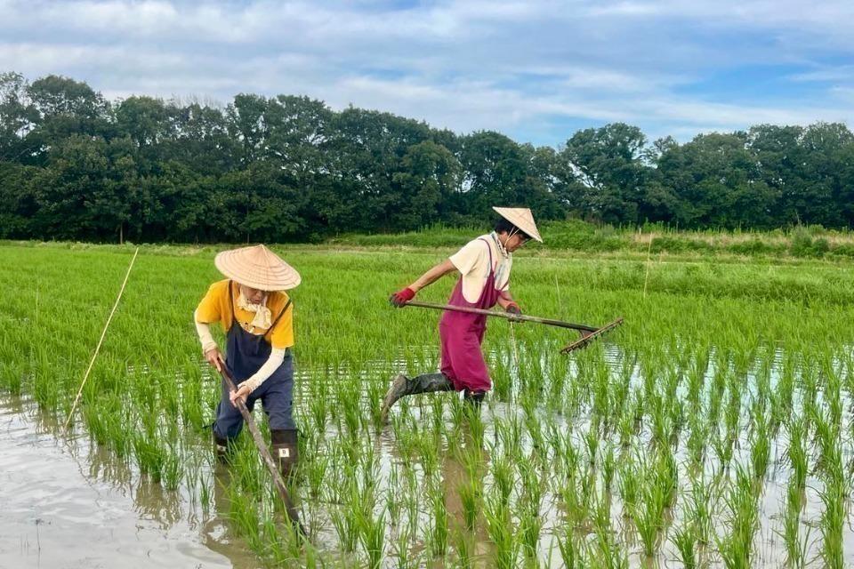 支援金の使い道の画像