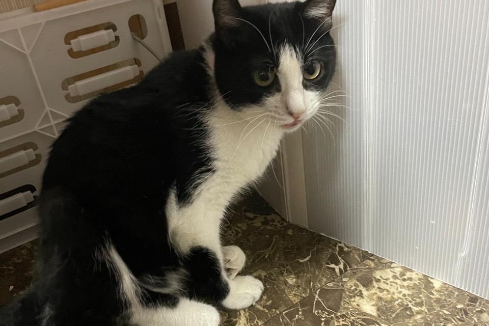 支援金の使い道の画像