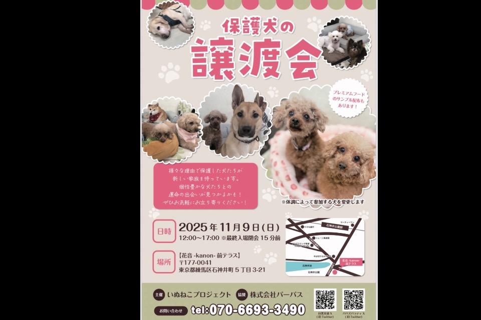 支援金の使い道の画像