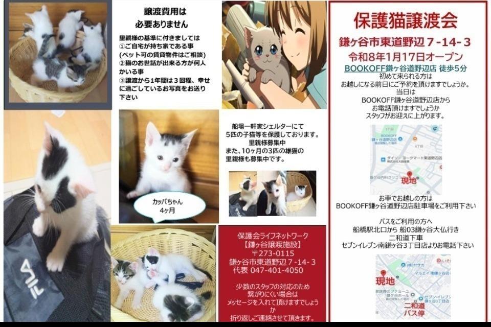 支援金の使い道の画像