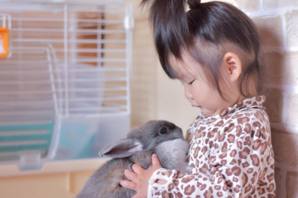 支援金の使い道の画像