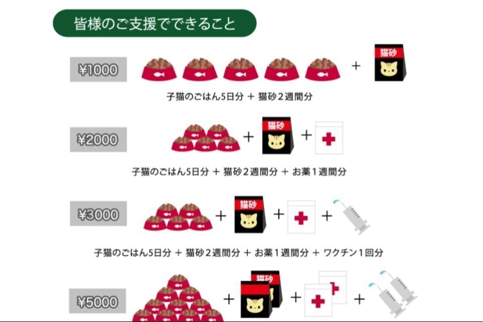 支援金の使い道の画像