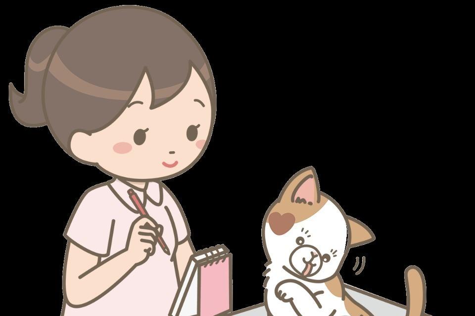 支援金の使い道の画像