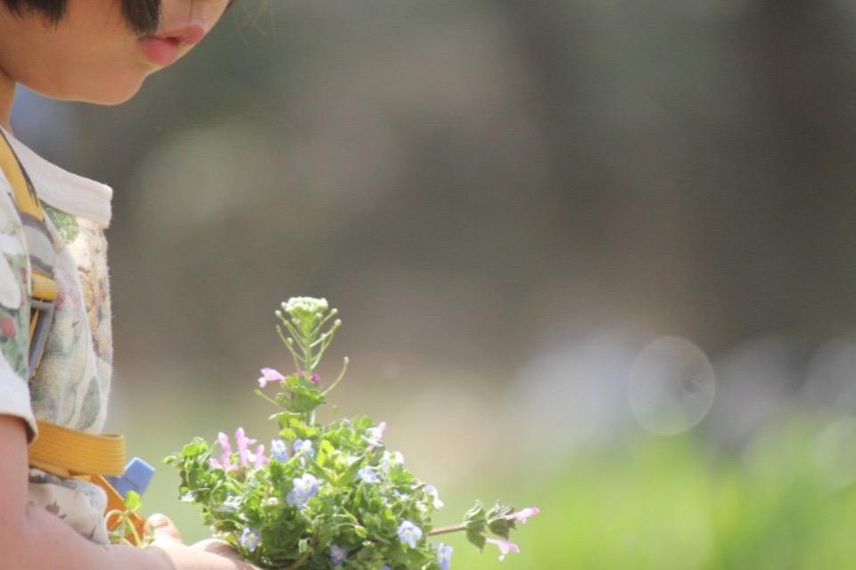 支援金の使い道の画像