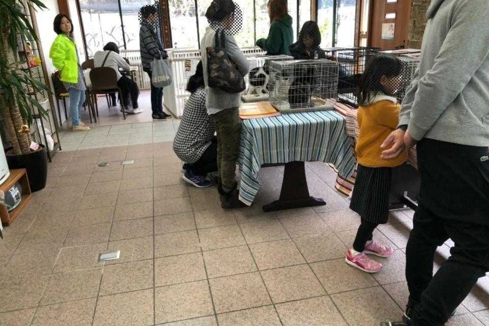 支援金の使い道の画像