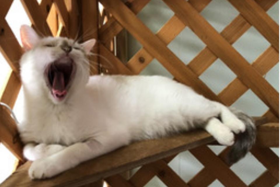 支援金の使い道の画像