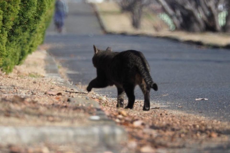 支援金の使い道の画像