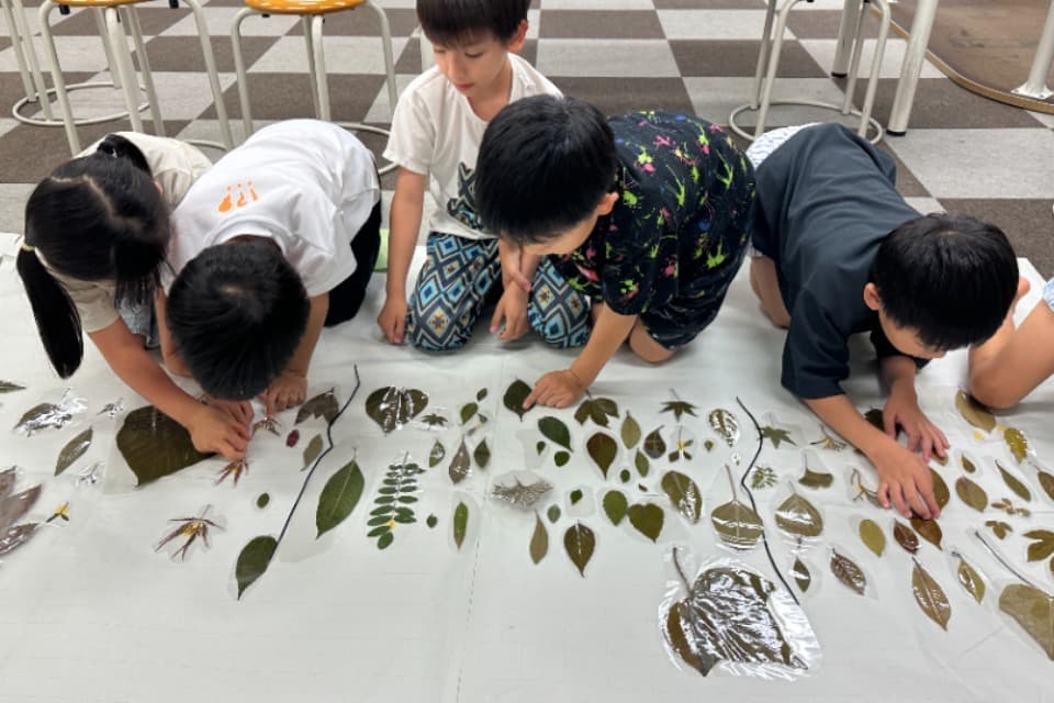 支援金の使い道の画像