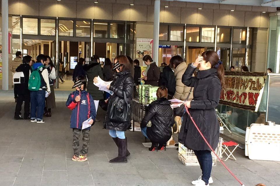 支援金の使い道の画像