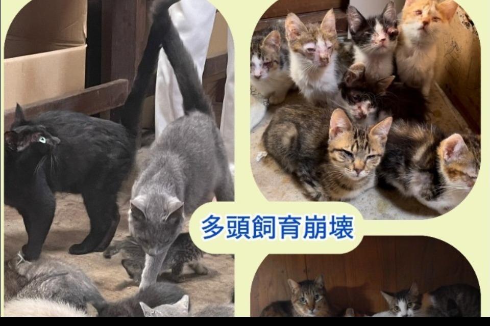 支援金の使い道の画像