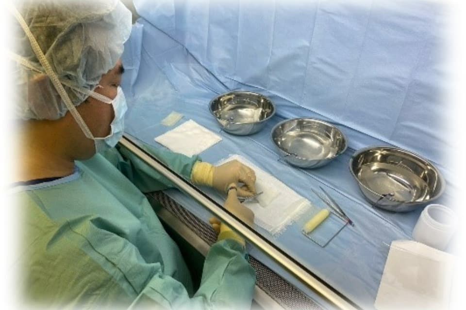 支援金の使い道の画像