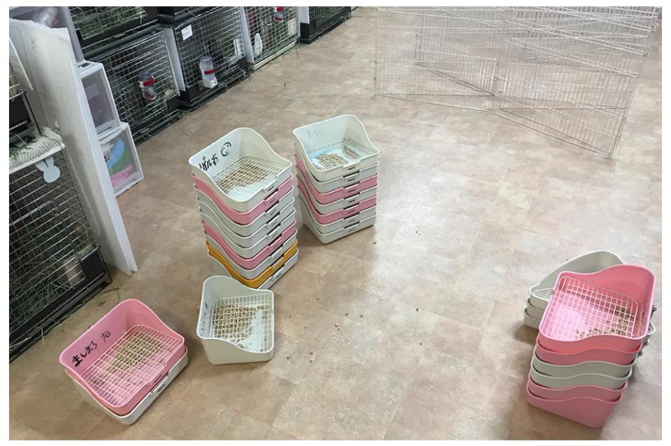 支援金の使い道の画像