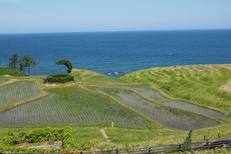 支援金の使い道の画像