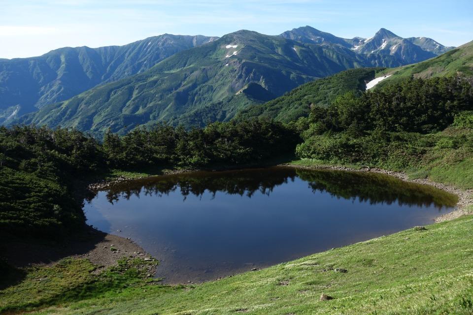 支援金の使い道の画像