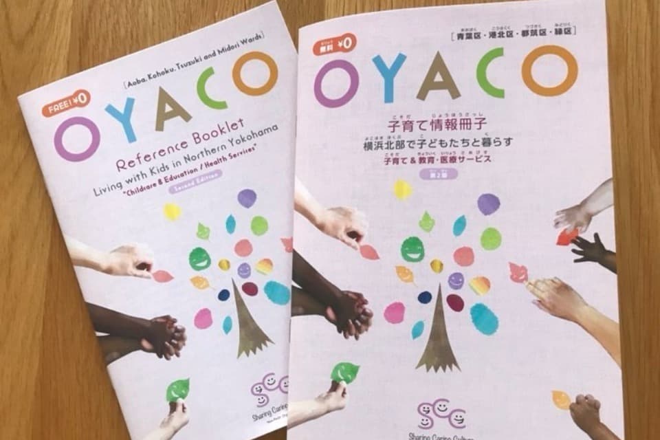 支援金の使い道の画像