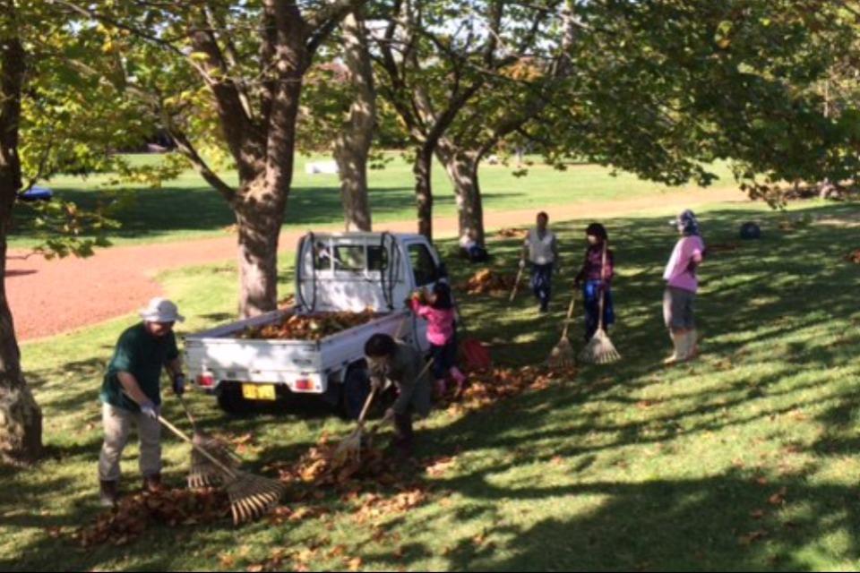 支援金の使い道の画像